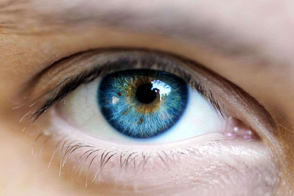 Quel est l’origine des yeux bleus