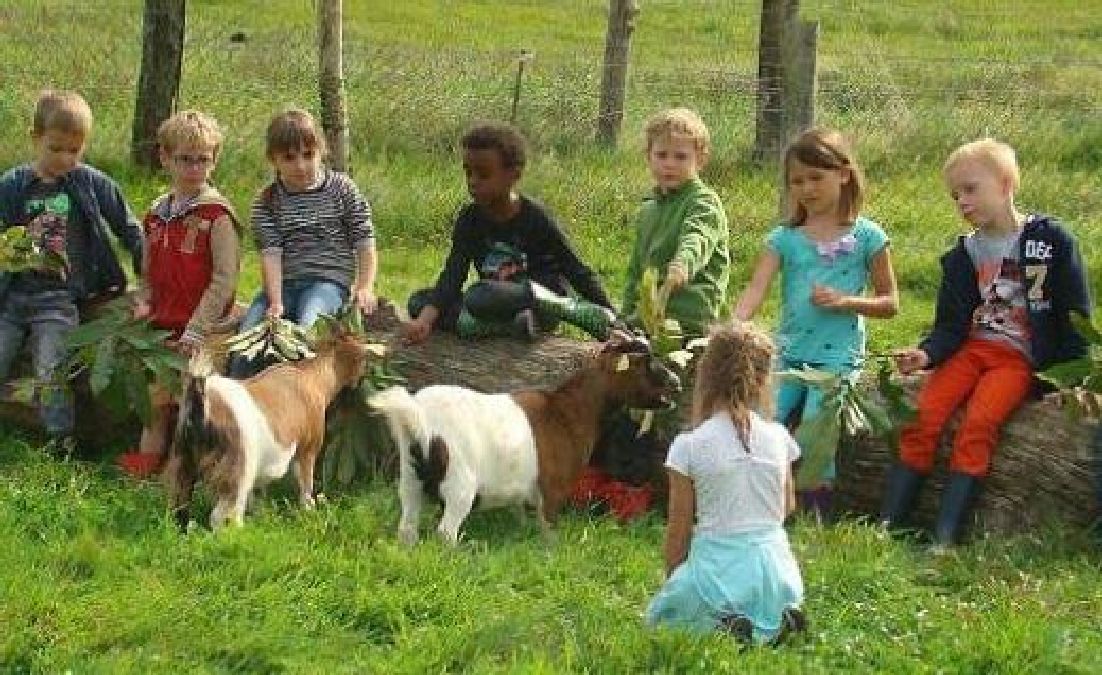 Ouverture d’une ferme-école pour réconcilier les enfants avec la nature !