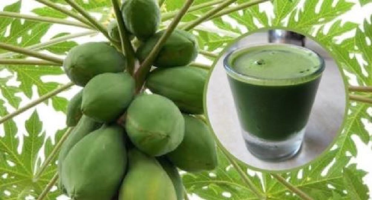 Comment Boire le jus de papaye pour détoxifier le foie, éliminer le foie gras et prévenir le cancer du foie