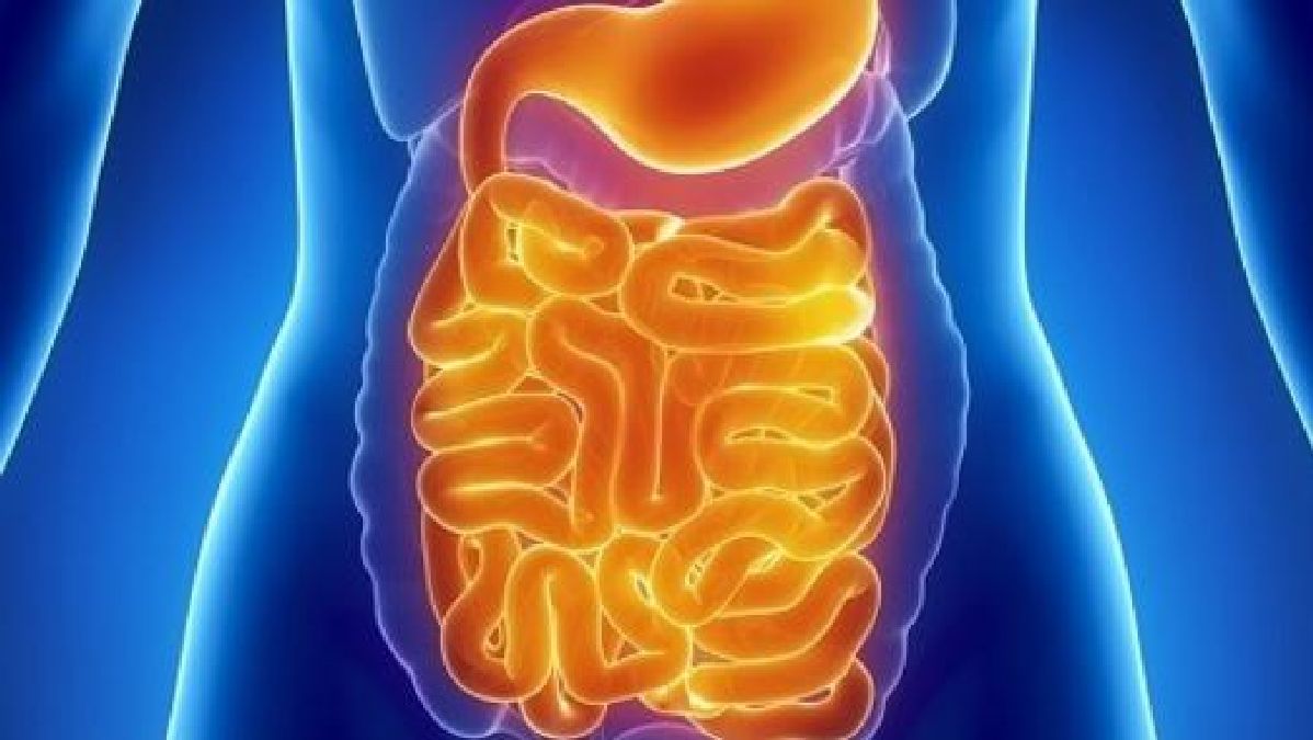 Si vous avez ces symptômes, vos intestins peuvent être un nid de parasites! Vous pouvez vous en débarrasser grâce à mélange naturel!