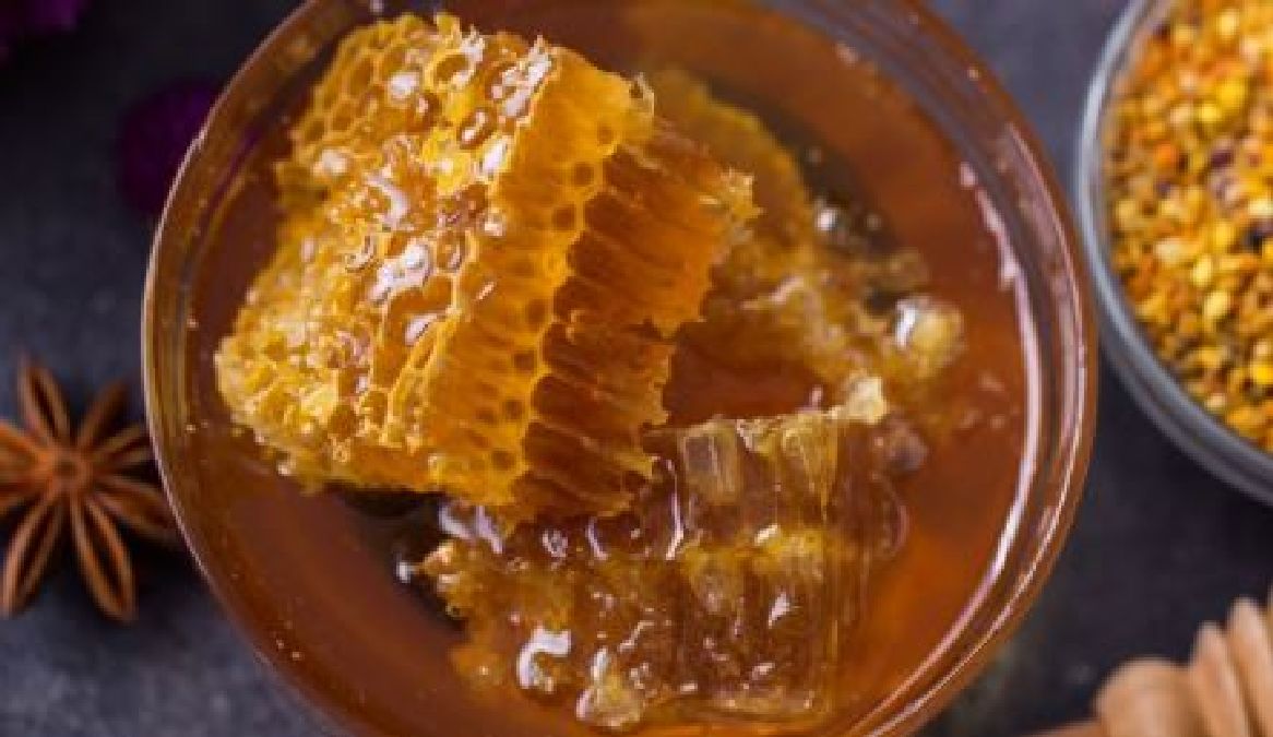 La propolis, un remède miracle fabriqué par les abeilles