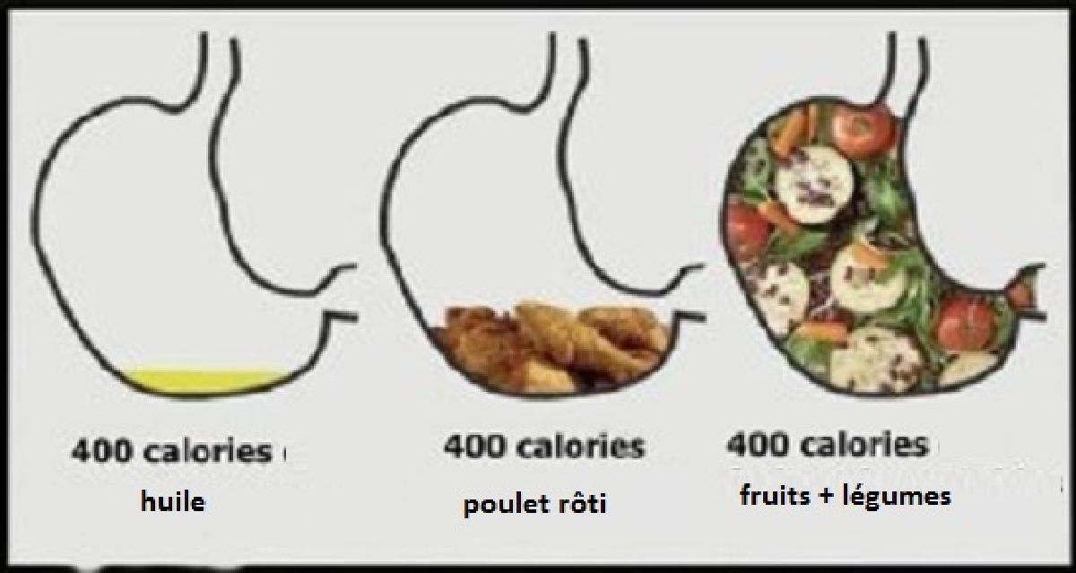 Comment réduire son appétit? Voici les aliments à consommer