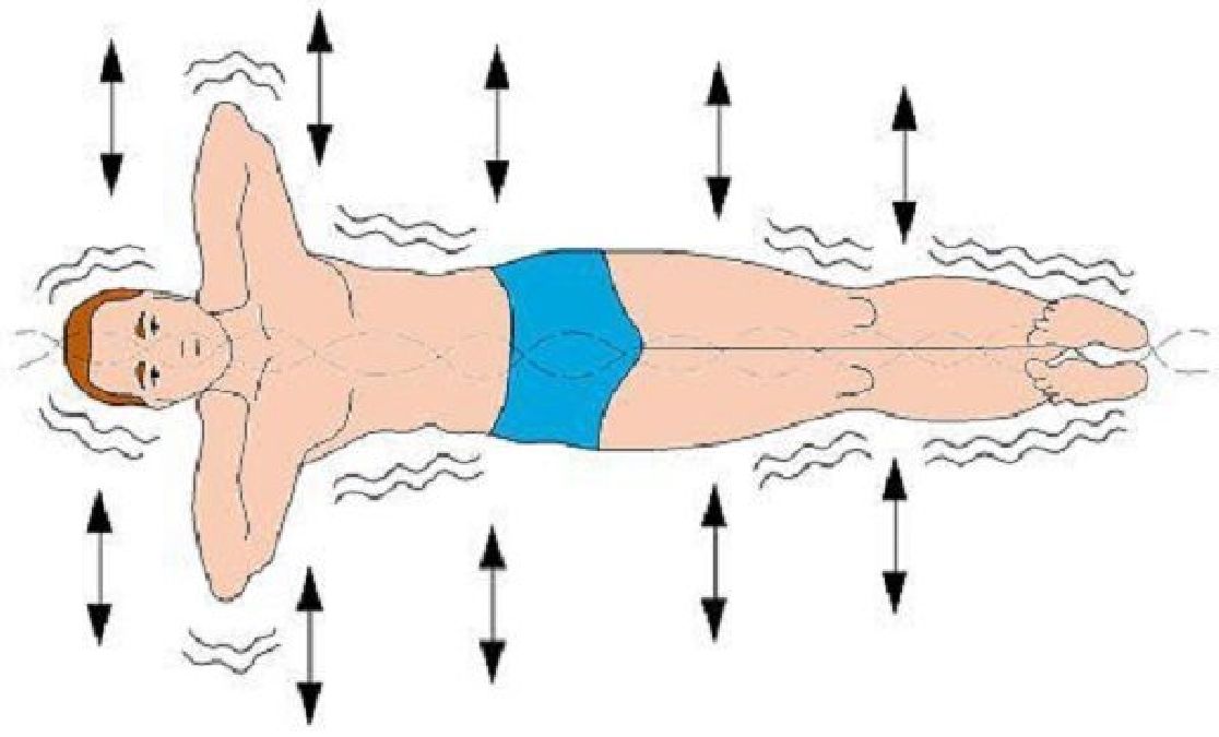 Le « poisson rouge » : un exercice qui va sauver votre dos!