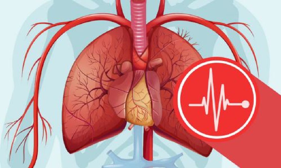 Crise cardiaque : 6 Signaux d’alerte que votre corps vous envoie avant une période!