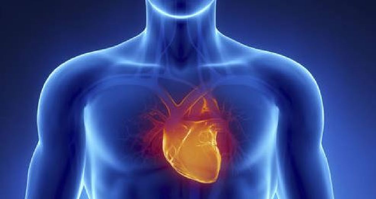 Est-ce que votre cœur a déjà fait un battement de plus ? Voici ce que cela signifie …