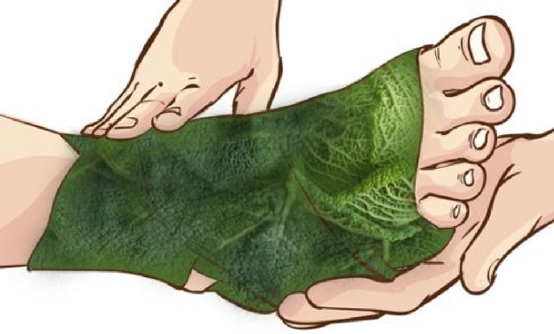 Enveloppez vos pieds dans des feuilles de chou et admirez les résultats