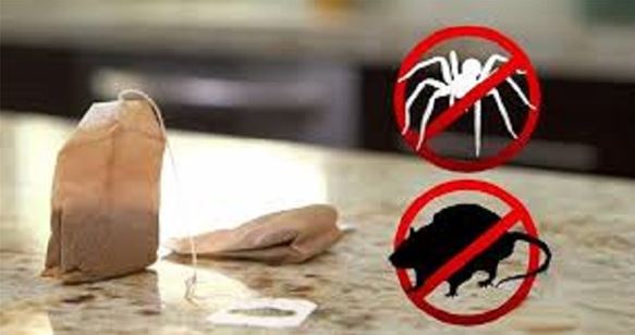Débarrassez-vous définitivement des souris et des araignées grâce à ces sachets ..voici comment