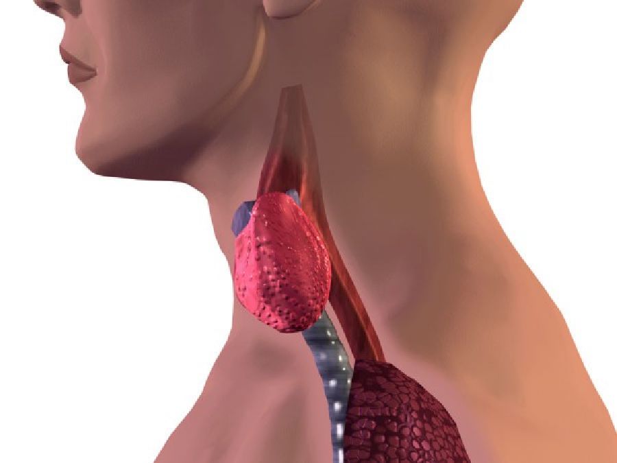 Qu’est-ce que votre langue dit à propos de votre thyroïde?