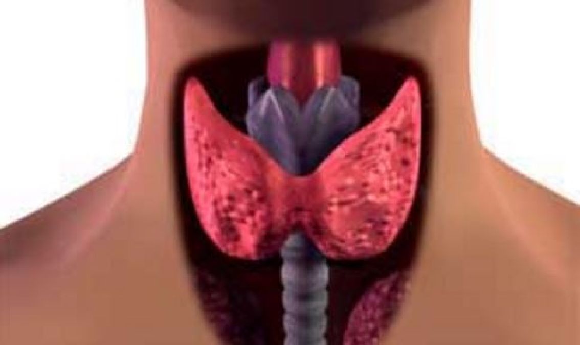 La vérité sur votre thyroïde et les huiles essentielles: ce qu’aucun endocrinologue ne vous dira
