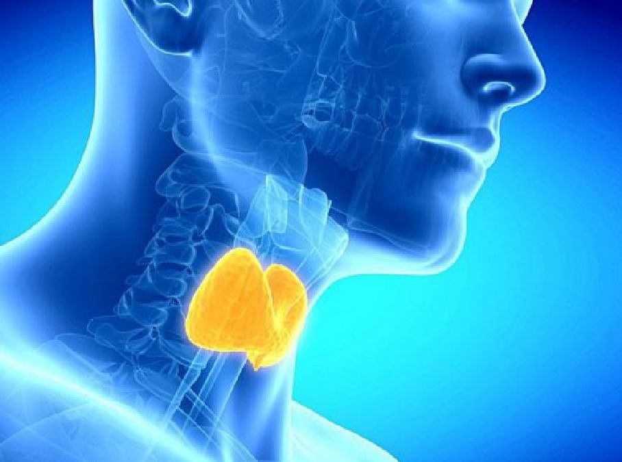 Dysfonctionnement de la thyroïde: les symptômes à détecter