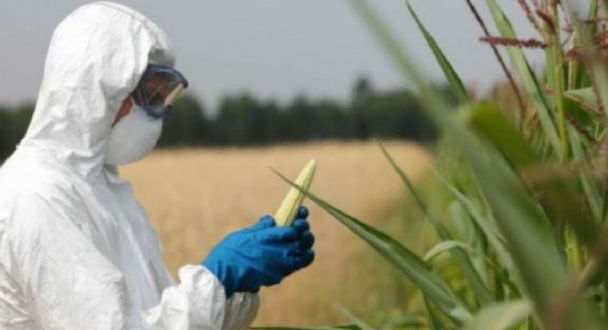 Voici les produits Monsanto à éviter en Europe et en France
