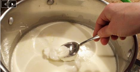 Comment faire votre propre yaourt naturel en 7 étapes